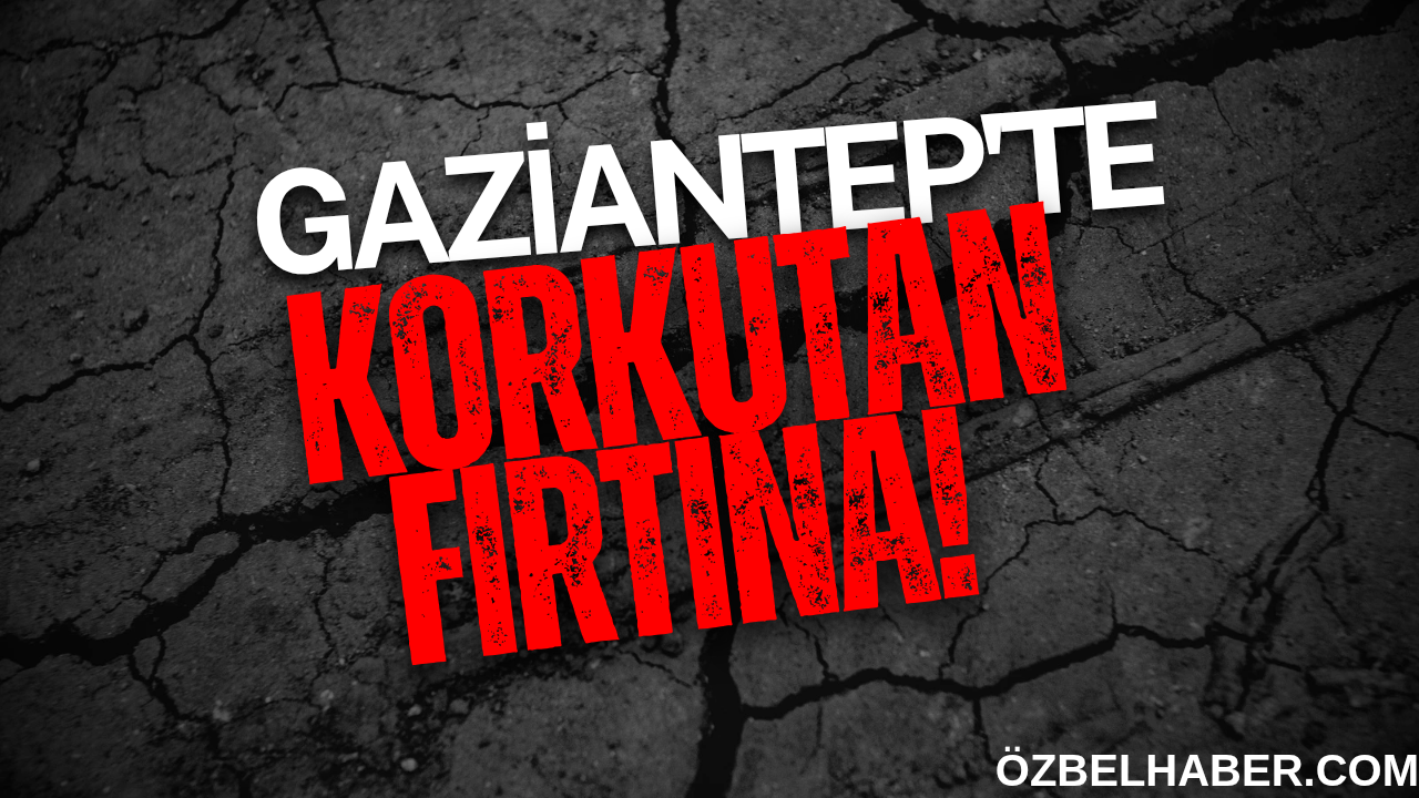 Gaziantep'te Yaz Ortasında Korkutan Fırtına! Ağaçlar Devrildi, Araçlar Zarar Gördü!