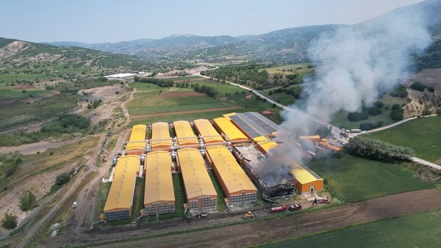 Ankara’da Yumurtacılık Tesisinde Korkunç Yangın: 150 Bin Tavuk Telef Oldu!