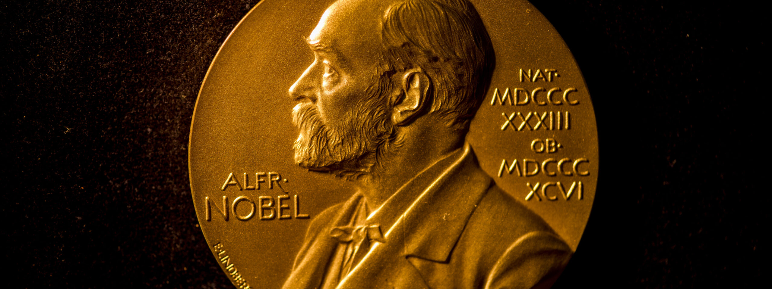 2025 Nobel Tıp Ödülü ‘Periferik Bağışıklık Toleransı’ Keşfine Verildi