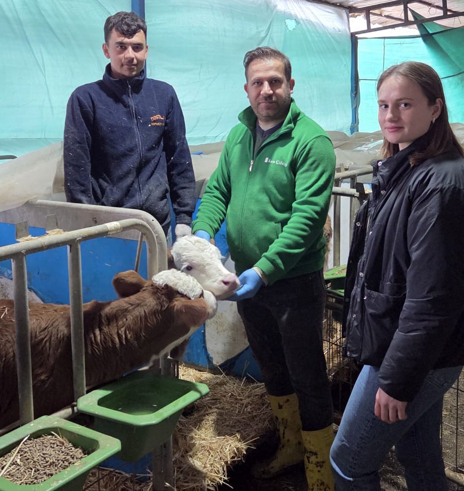 2026 Yılı İlkbahar Dönemi Şap Aşılama Başladı