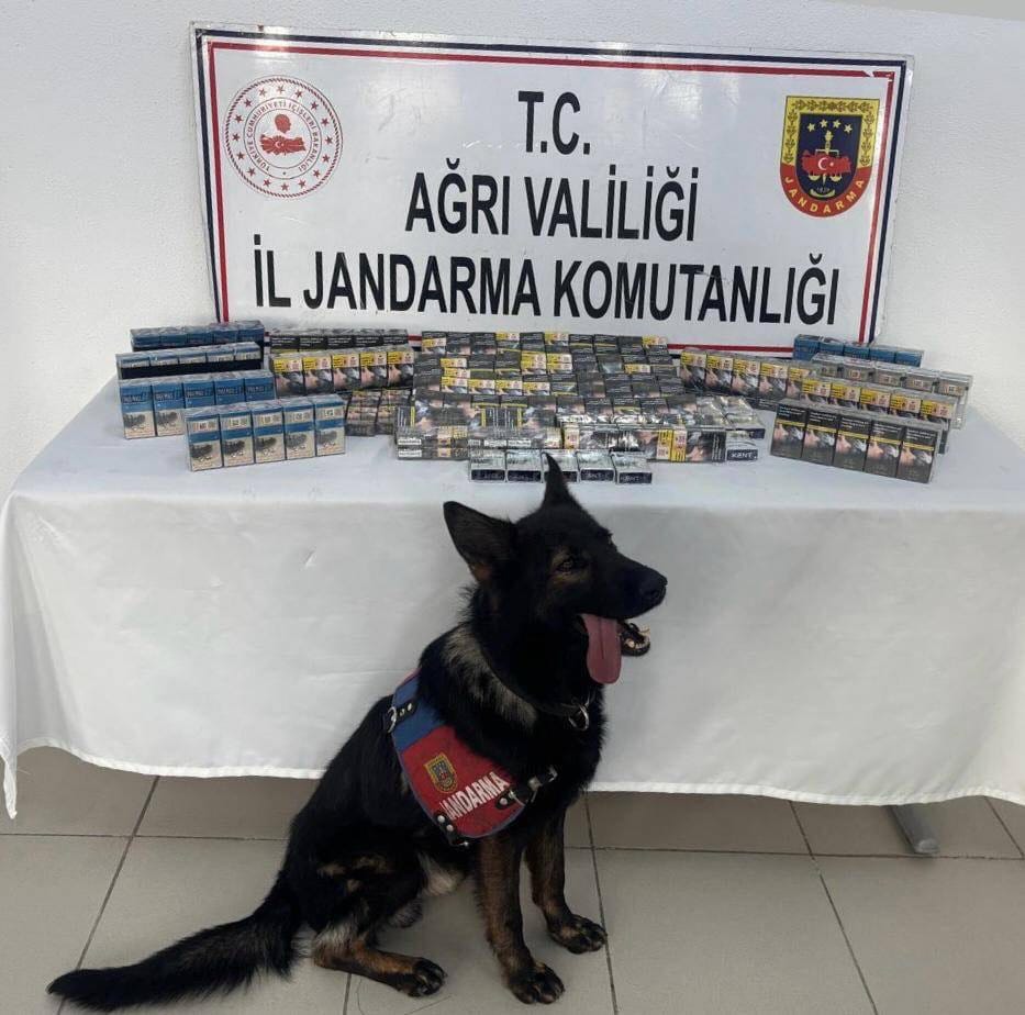 Ağrı İl Jandarma Komutanlığı 1227 Paket Gümrük Kacağı Sigara Ele Geçirdi