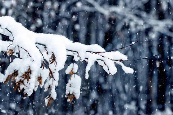 Altı İlde Kar Yağışı Ulaşımı Aksattı