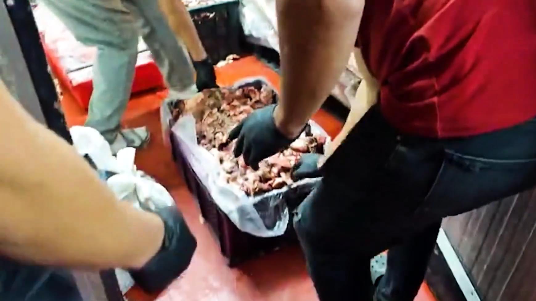 Ankara’da 11 Ton Gıda Denetlendi, 1,3 Ton Ürün İmha Edildi