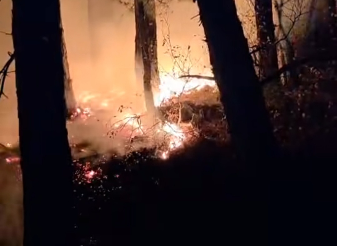 Arsuz’da Orman Yangını Paniği