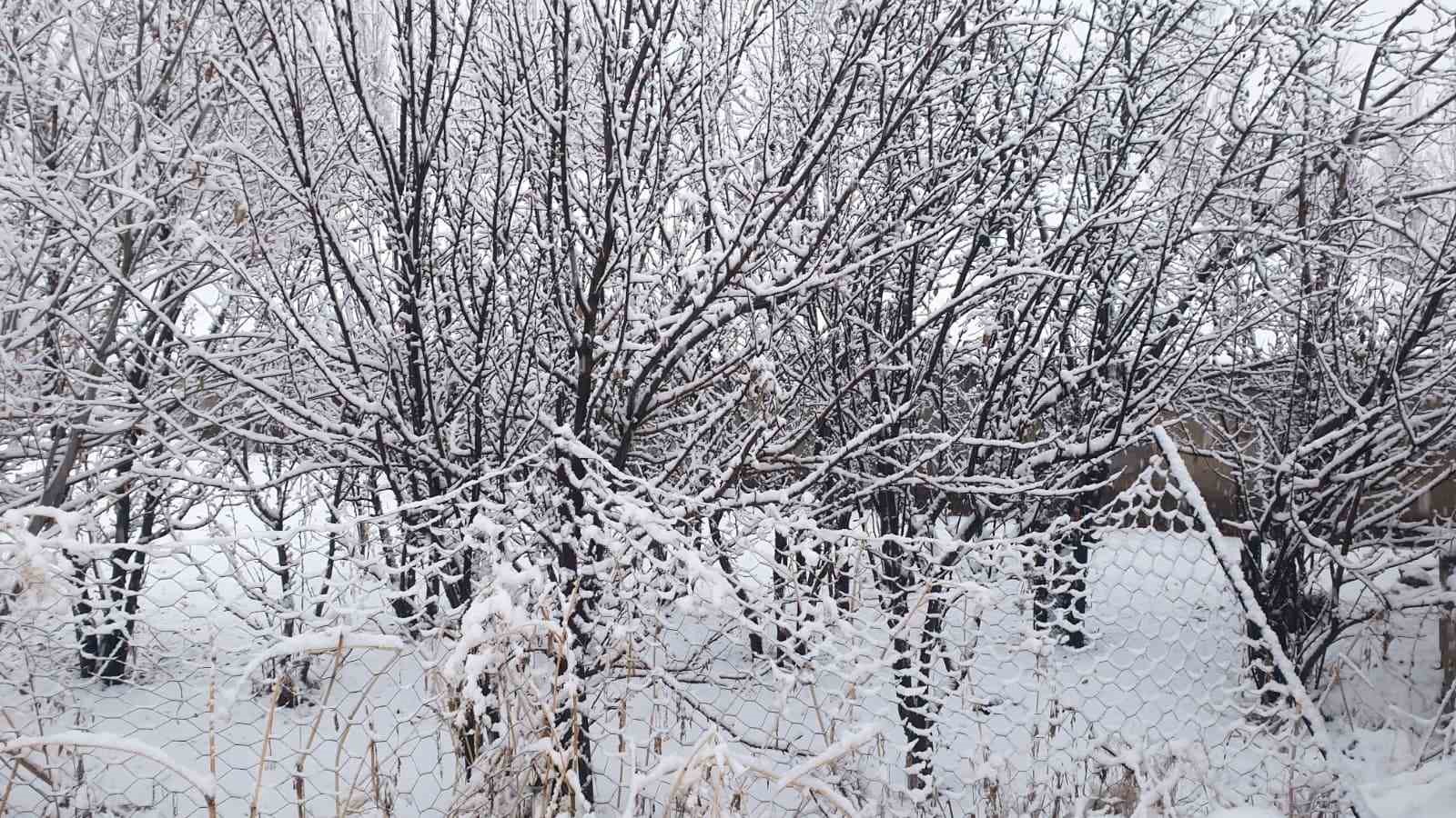 Başkale’de Kar Yağışı İlçeyi Beyaza Bürüdü