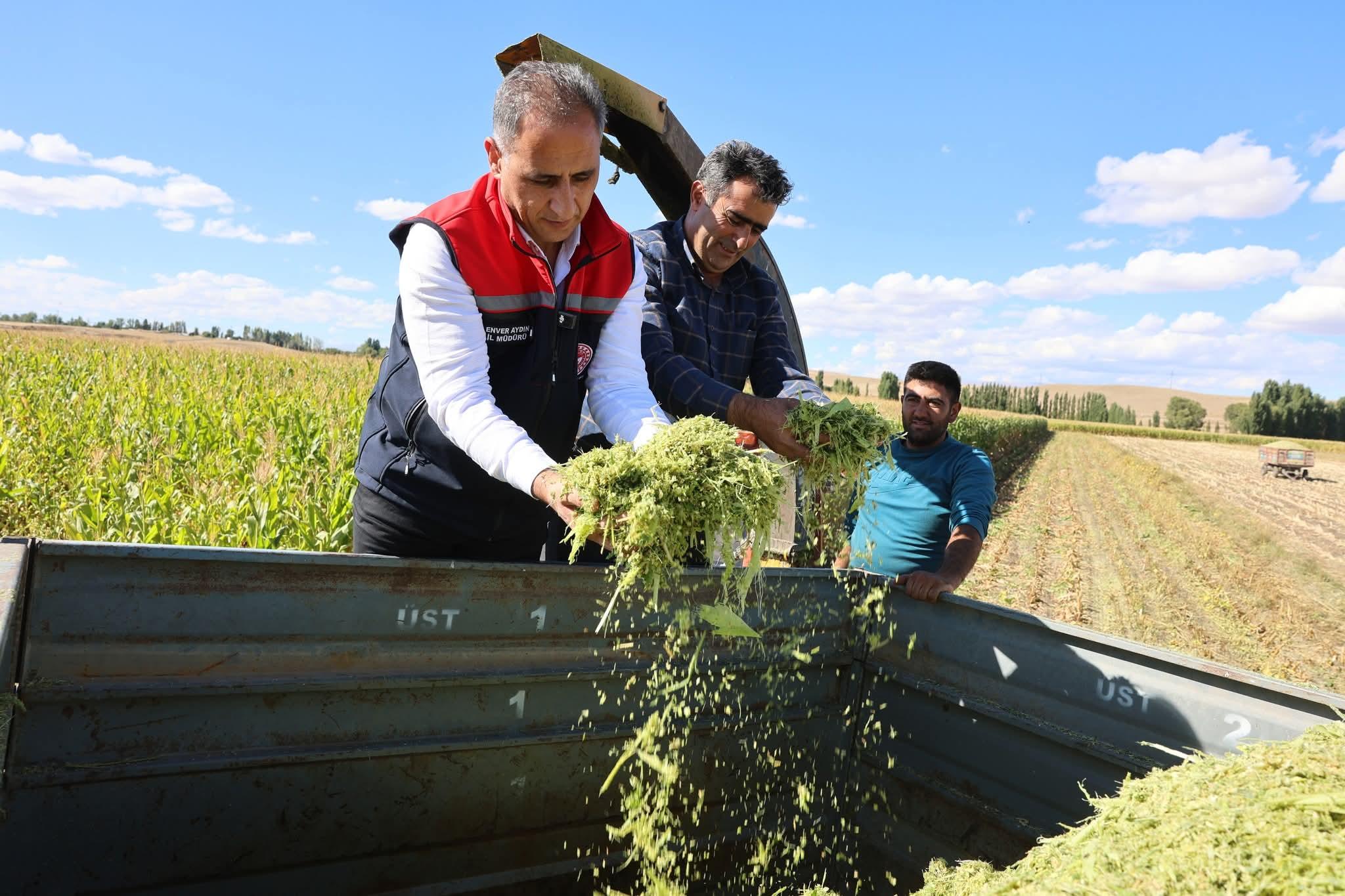 Bayraktar Köyü’nde Silajlık Mısır Hasadı Başarıyla Gerçekleştirildi
