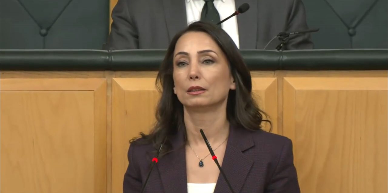DEM Parti Eş Genel Başkanı Hatimoğulları: “Türkiye Barışa Öncülük Edebilir”