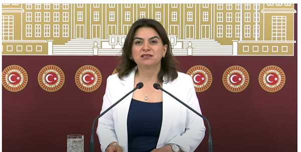 DEM Parti Grup Başkanvekili Gülüstan Kılıç Koçyiğit,TBMM Başkanlığına soru önergesi sundu
