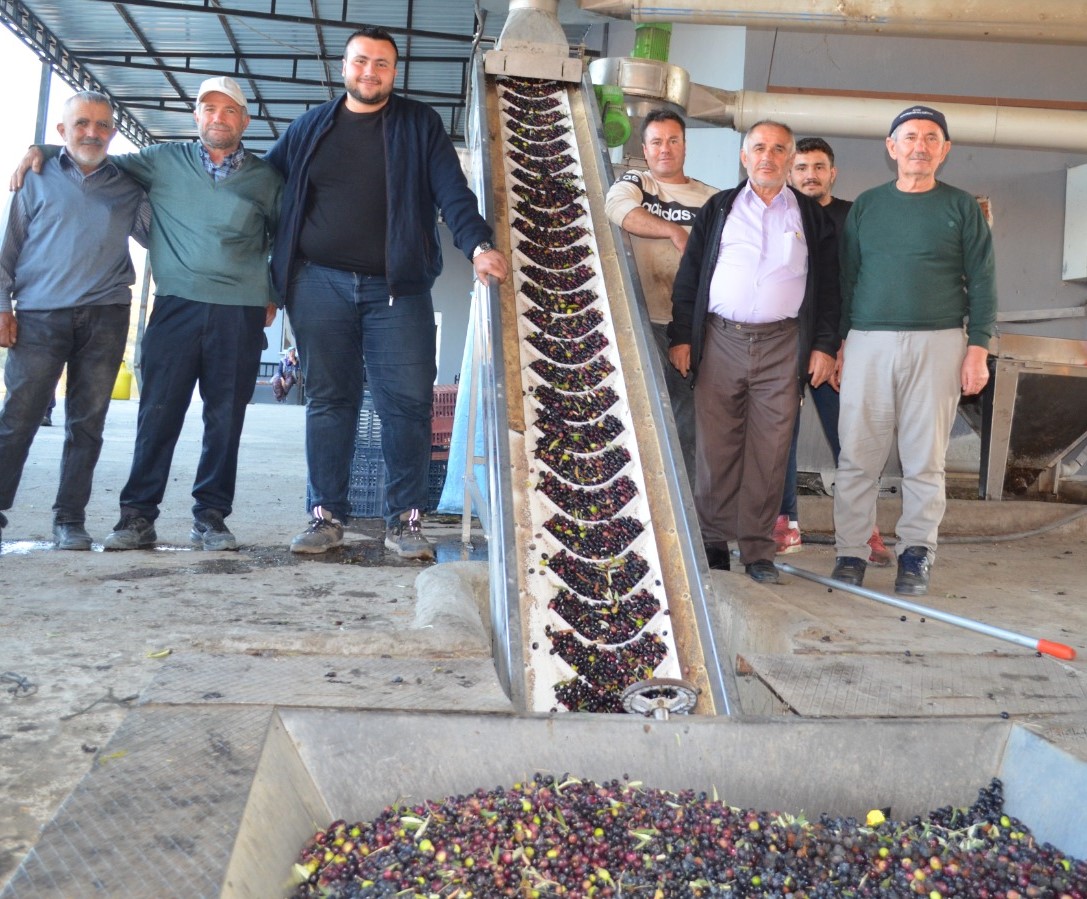 Demi̇rci̇’de Zeyti̇nyağı Fabri̇kası Tatlı Bi̇r Telaş İçi̇nde