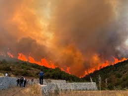 Derince’de Orman Yangını Korkuttu: Kontrol Altına Alındı