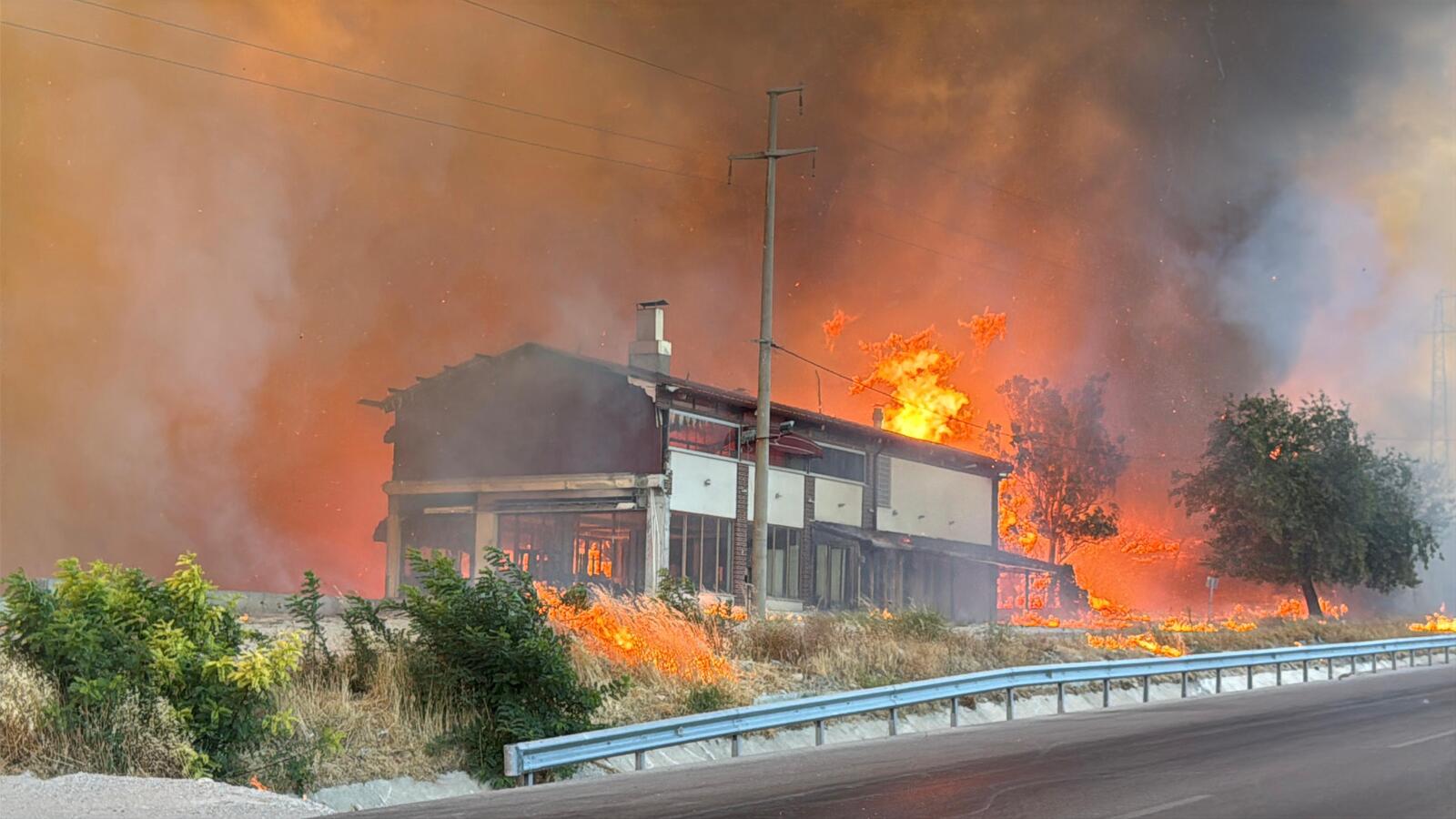 Edirne’nin Enez İlçesinde Çıkan Orman Yangını 16 Saat Sonra Kontrol Altına Alındı