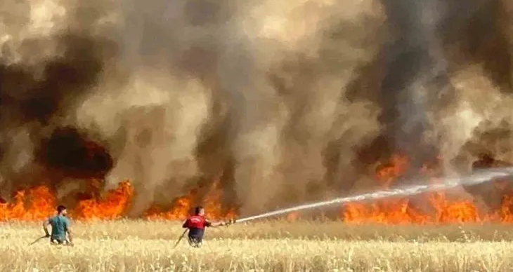 Elazığ’da Tarım Arazisi Yandı: Onlarca Dönüm Kül Oldu