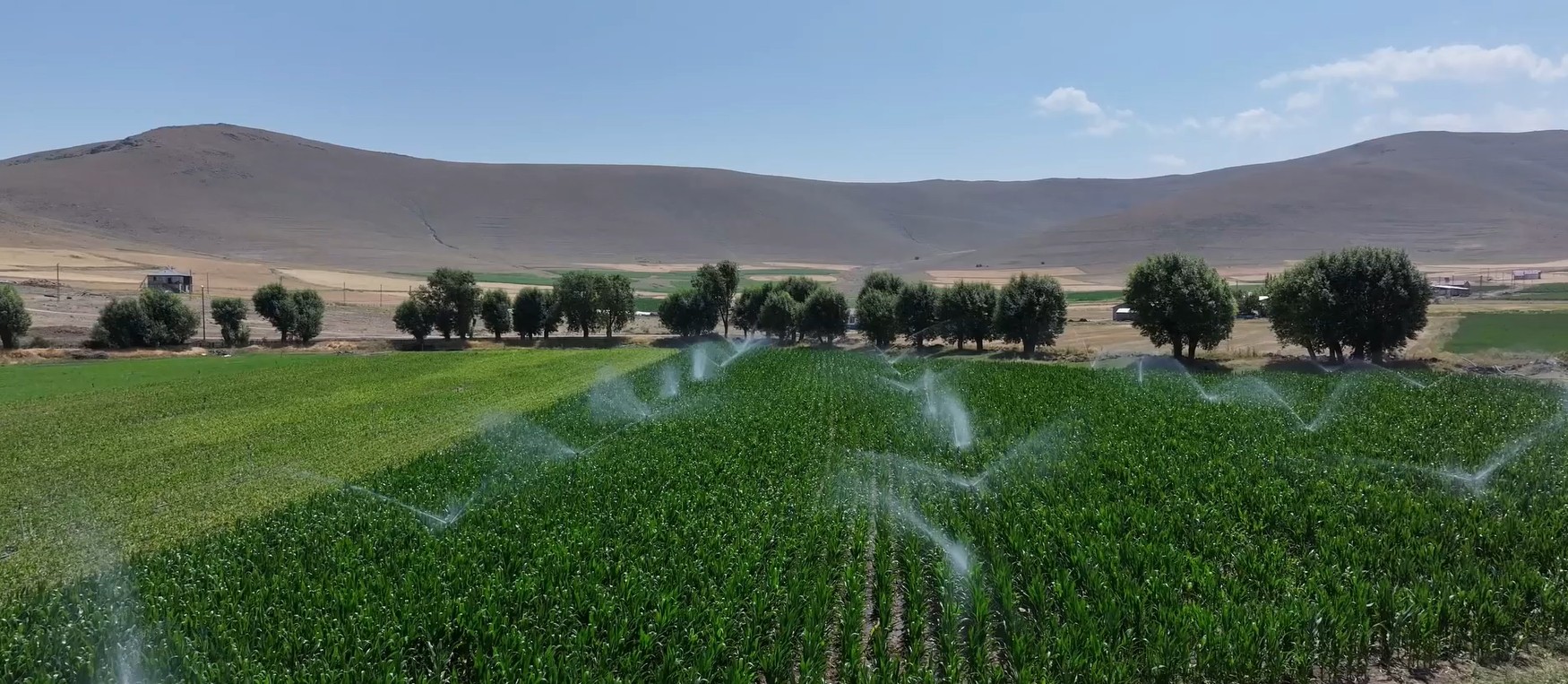 Erzurum Pasinler Kavuşturan Göleti’nde Gelecek Yıl Su Tutulacak