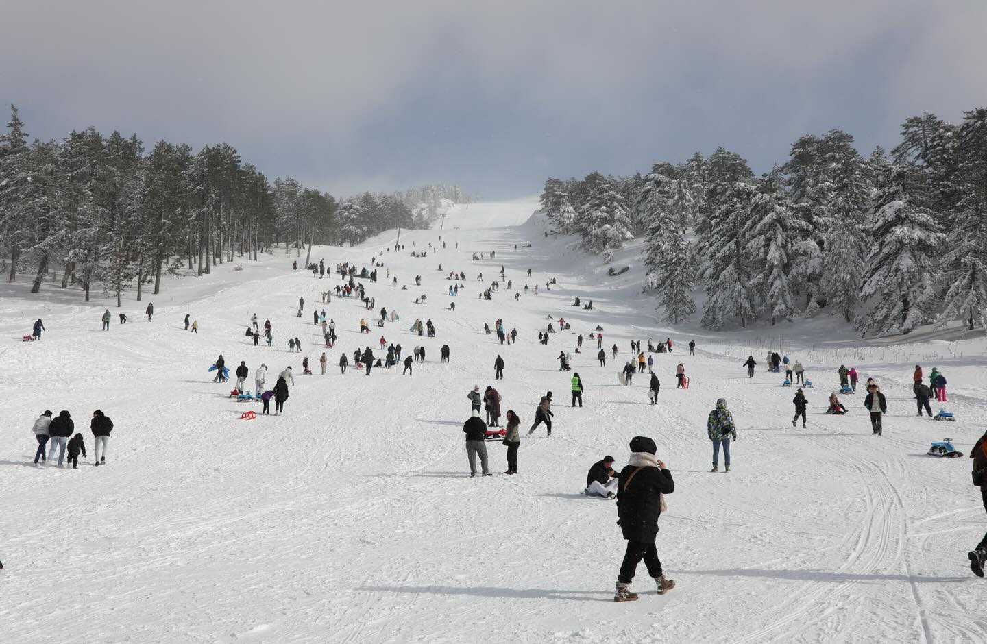 GEDİZ MURAT DAĞI İLK KEZ DÜZENLENEN KIZAK VE KAYAK FESTİVALİNE 10 BİNLER KATILDI