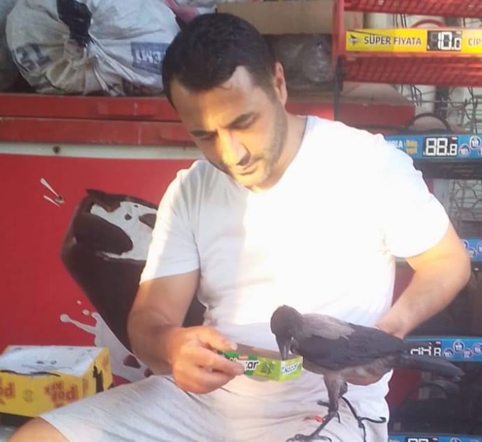 Görenler şaşıp kalıyor! Salihli’de Marketçi ve Karganın İlginç Dostluğu