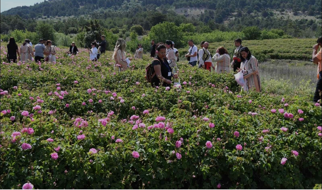 Güller diyarı Isparta’nın festivali