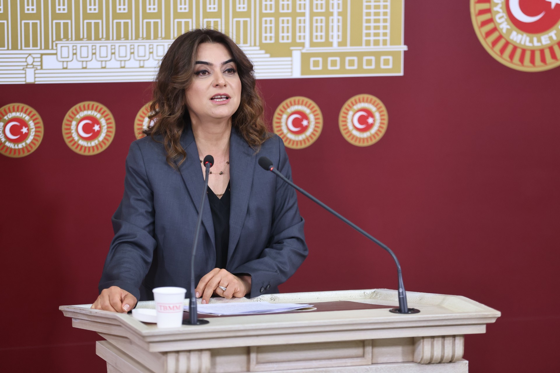 Gülüstan Kılıç Koçyiğit’ten Orman Yangınları İçin 5 Bakanlığa Kritik Soru Önergeleri