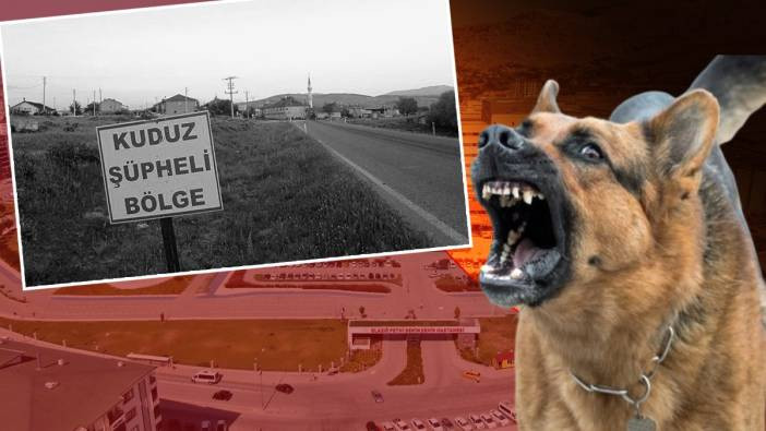 Hatay’ da Kuduz Alarmı