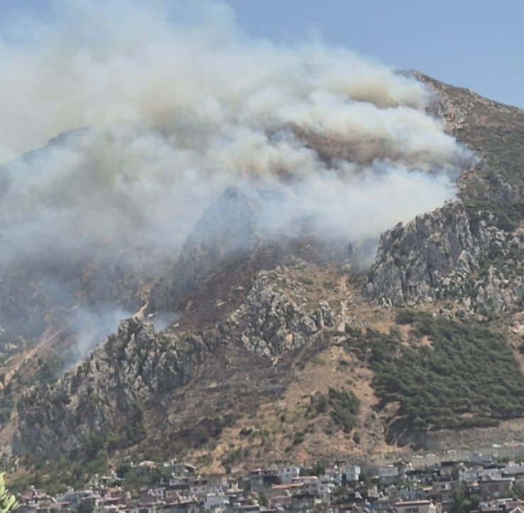 Hatay’da Orman Yangını Rüzgarın Etkisiyle Büyüyor