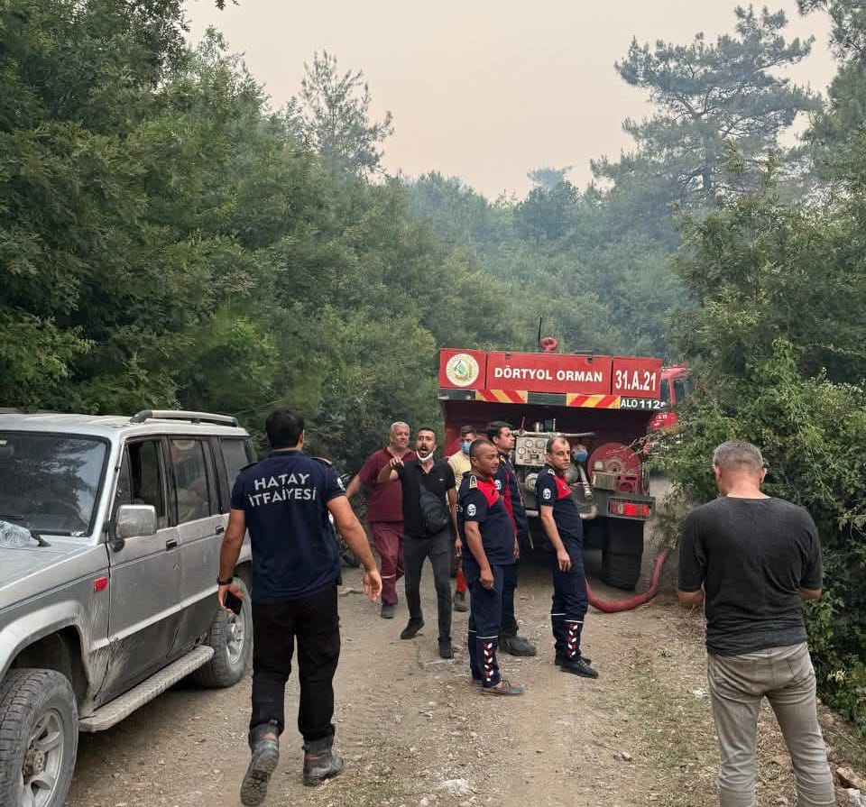 Hatay’da Orman Yangını