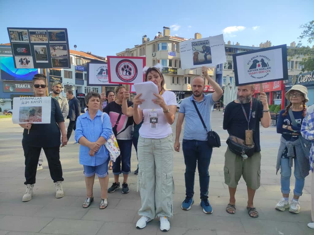 Hayvan Hakları Birlik Hareketi’nden Sokak Hayvanları Yasasına Tepki