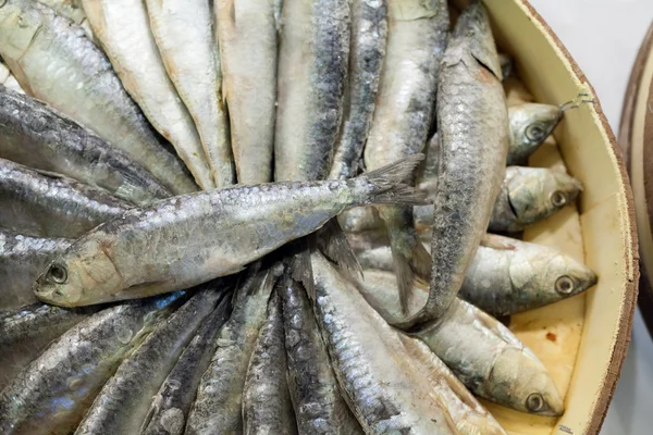 İstanbul’da Ocak Ayının Lideri İstavrit Oldu