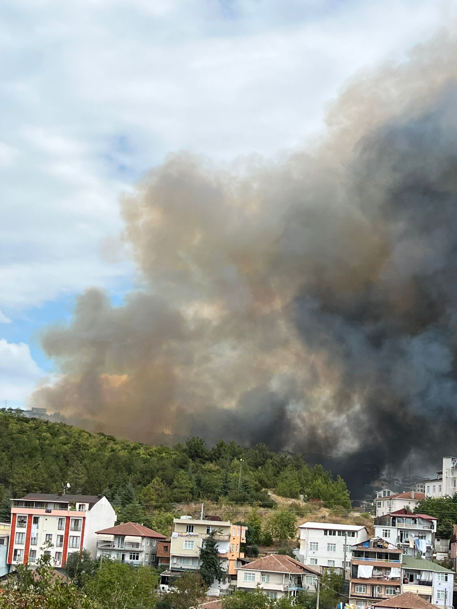İzmitte Korkutan Orman Yangını