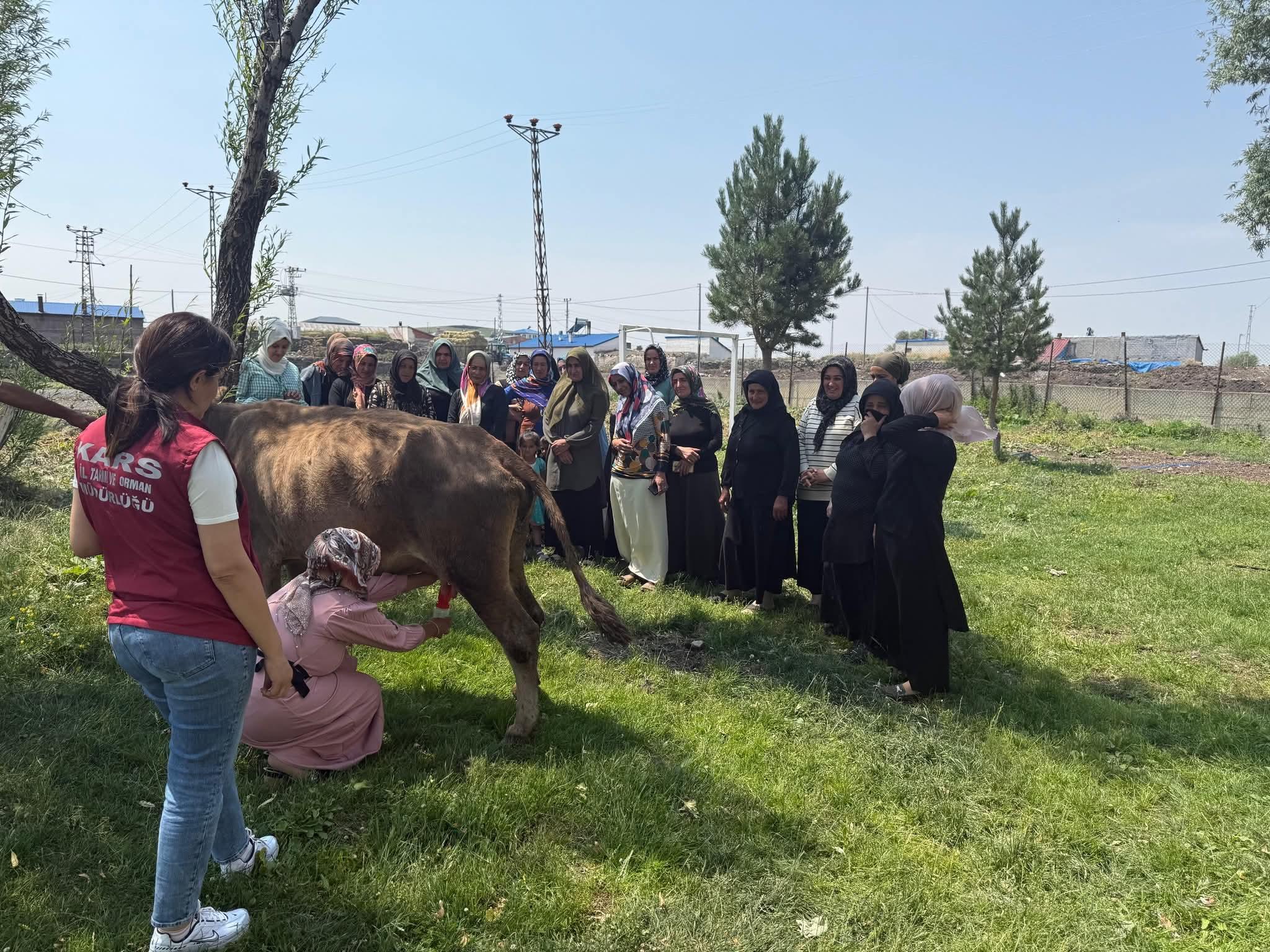 Kadın Çiftçilere Süt Sağım ve Hijyen Eğitimi Gerçekleştirildi
