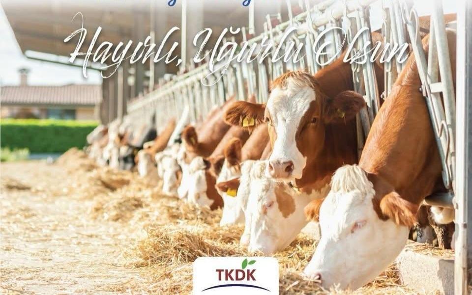 Kars TKDK’dan Tarıma Büyük Destek: 218 Proje Daha Hibe Almaya Hak Kazandı