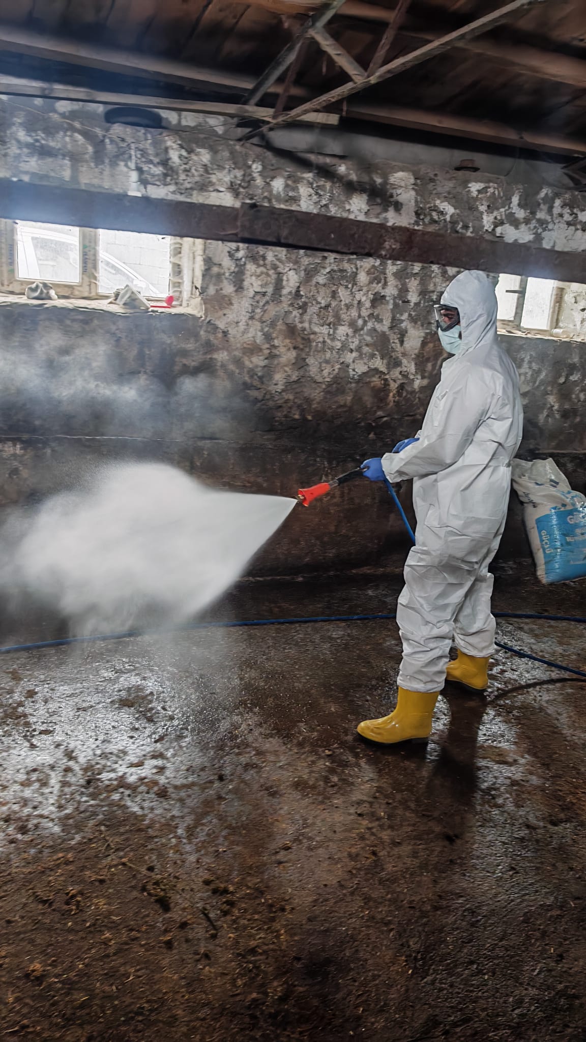 Kars’ta Şap Hastalığına Karşı Etkin Mücadele Sahada Devam Ediyor