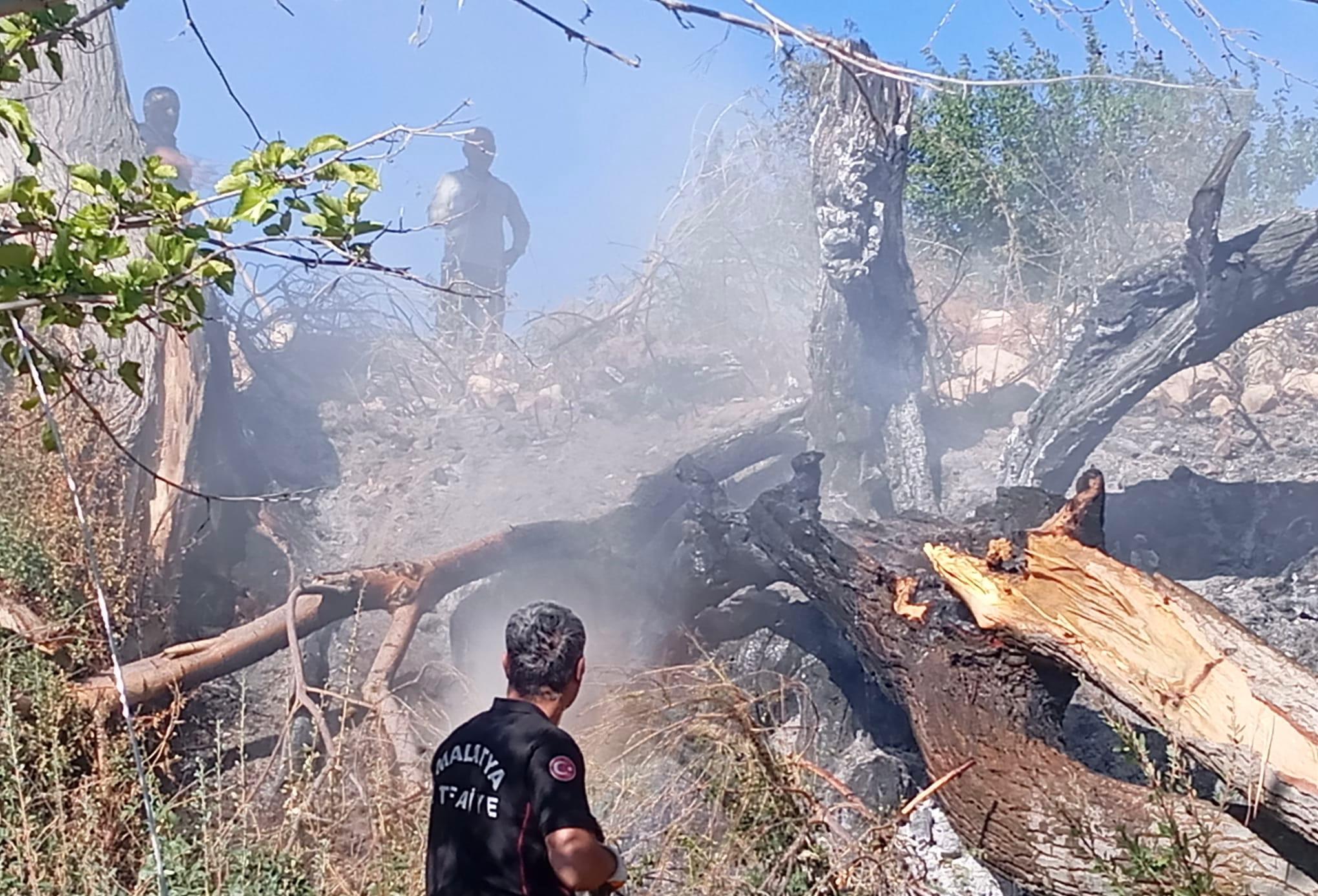 Malatya’da Elektrik Hattı Yangın Paniği Yarattı