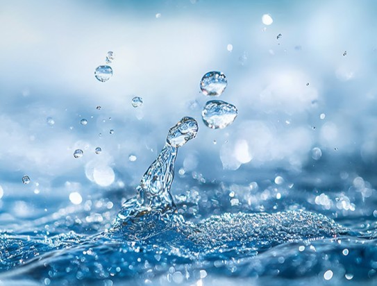 New York’ta ‘Sıfır Atık Mavi – Damla Damla’ Sergisi Düzenlenecek