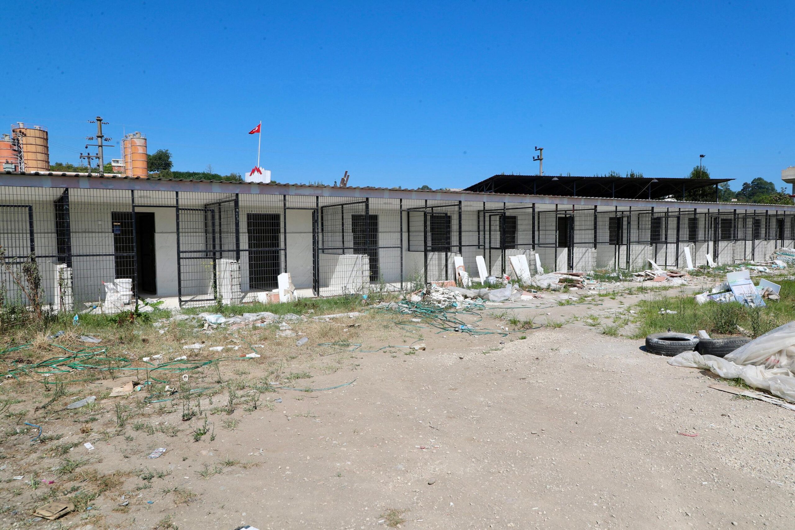 Ordu’da Sokak Hayvanları İçin Yeni Barınak ve Doğal Yaşam Alanları Geliyor