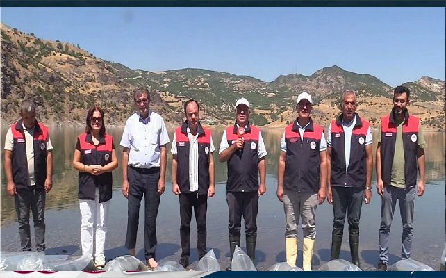 Özlüce Baraj Gölüne 35 Bin Yavru Sazan Bırakıldı