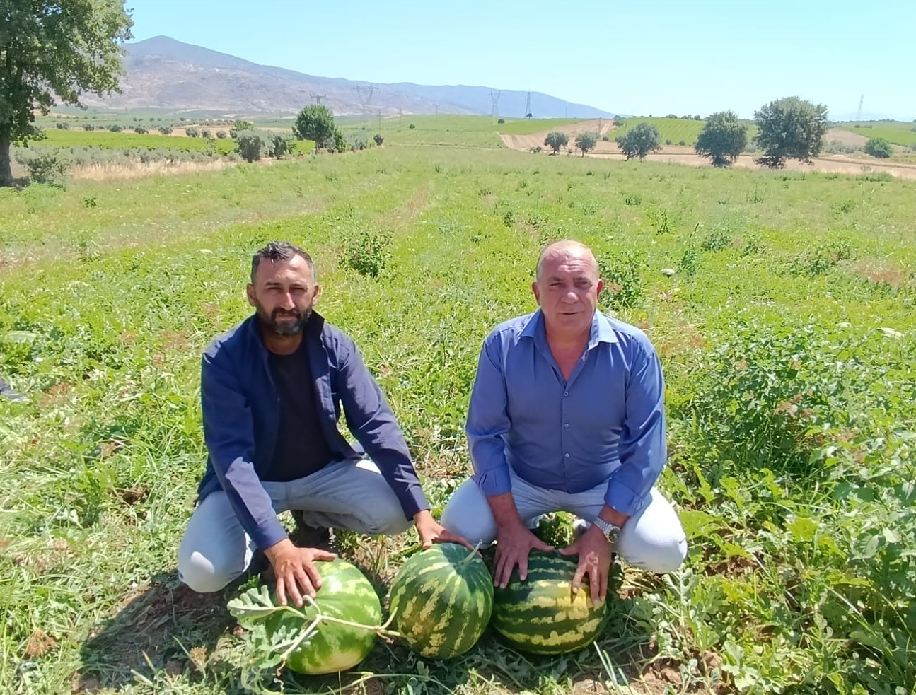 Salihli Poyrazdamları Karpuzu Hasadında Üreticiler Tepkili