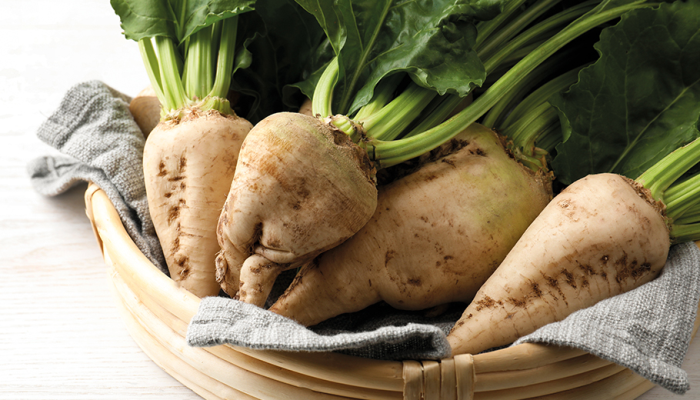 Şeker Pancarı Alım Fiyatı 2025-2026 Sezonu İçin Açıklandı