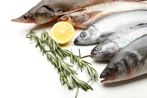 Su Ürünlerinde 2,3 Milyar Dolarlık İhracat