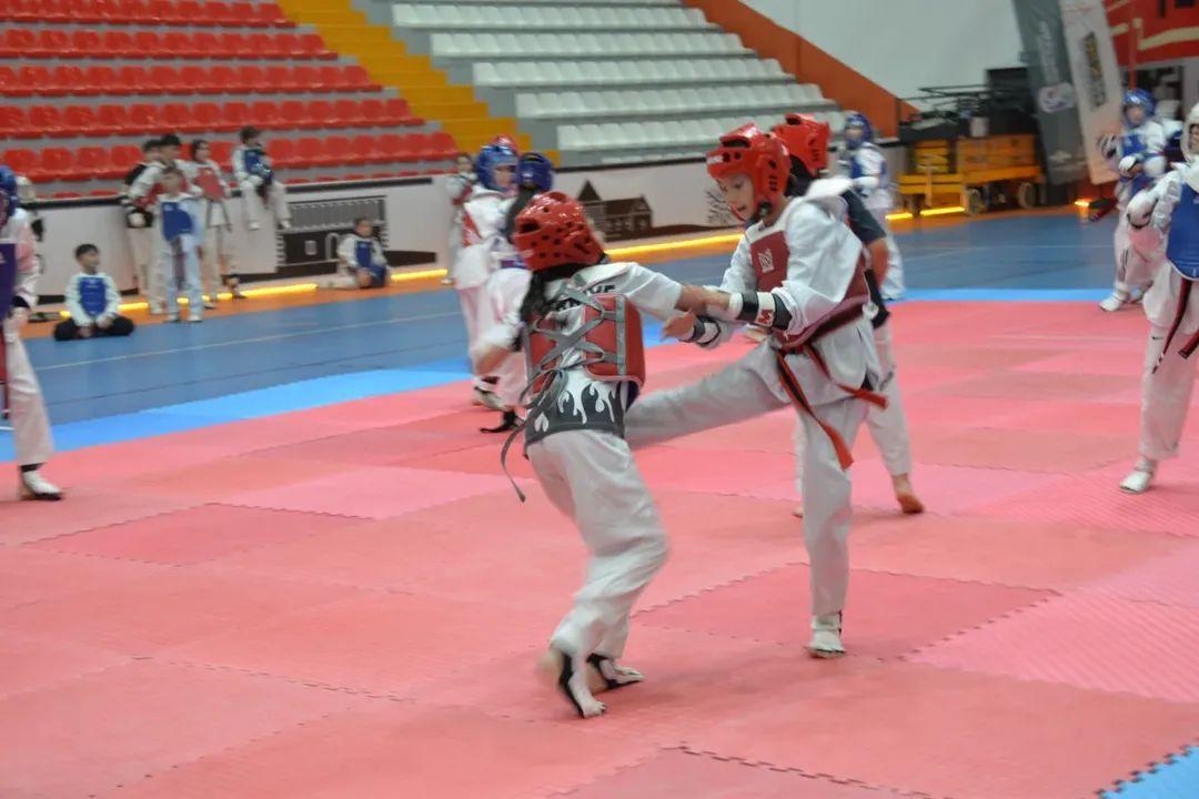 Taekwondo’nun Kalbi Kars’ta Attı