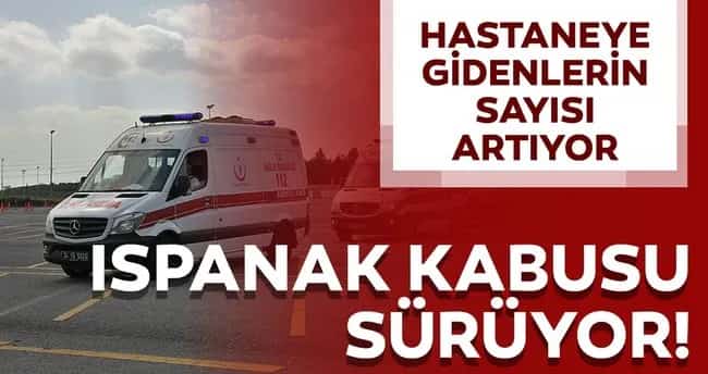 Van Erciş’te Ispanak Zehirlenmesi: 15 Kişi Hastanelik Oldu