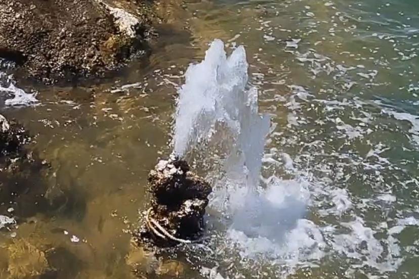 Van Gölü’nde Şaşırtan Görüntü: Tuzlu Gölden Tatlı Su Fışkırdı