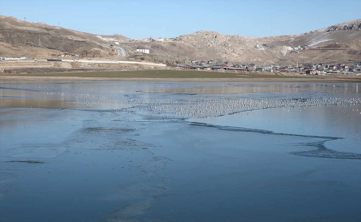 Van’da Dondurucu Soğuklar Etkili Oluyor: Sıhke Gölü Kısmen Buz Tuttu