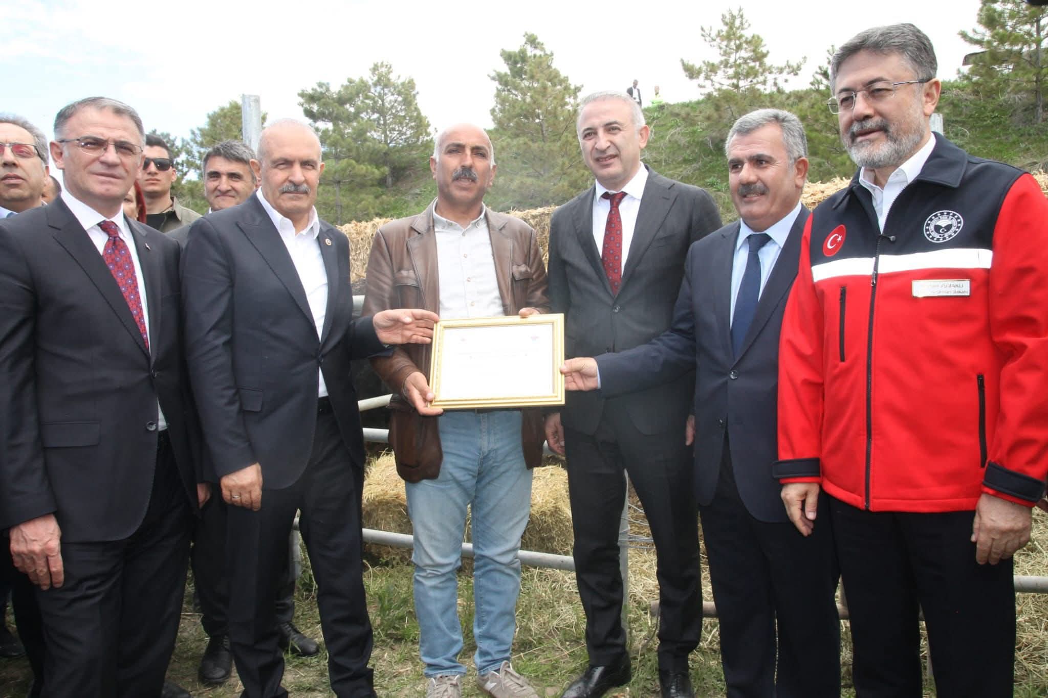 Van’da “Kırsalda Bereket” Projesi Kapsamında Düve Dağıtımı Yapıldı