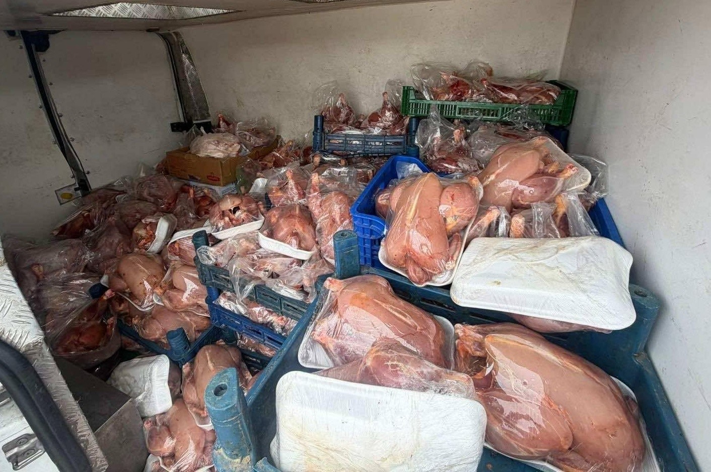 Van’da sağlık ve sevk belgeleri bulunmayan 200 tavuk ele geçirildi