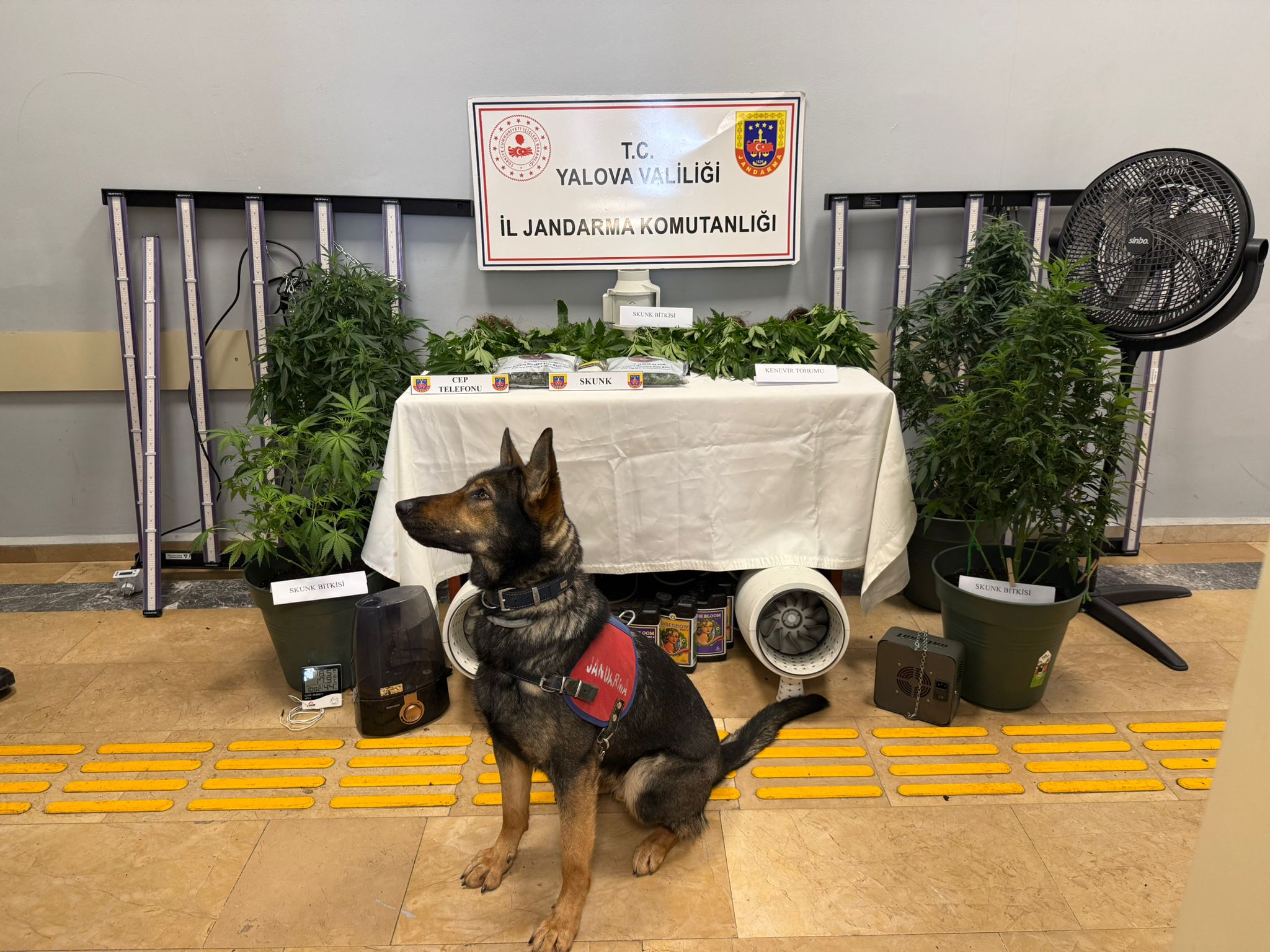 Yalova’da Evde Uyuşturucu Düzenekli Sera Operasyonu: 2 Tutuklama