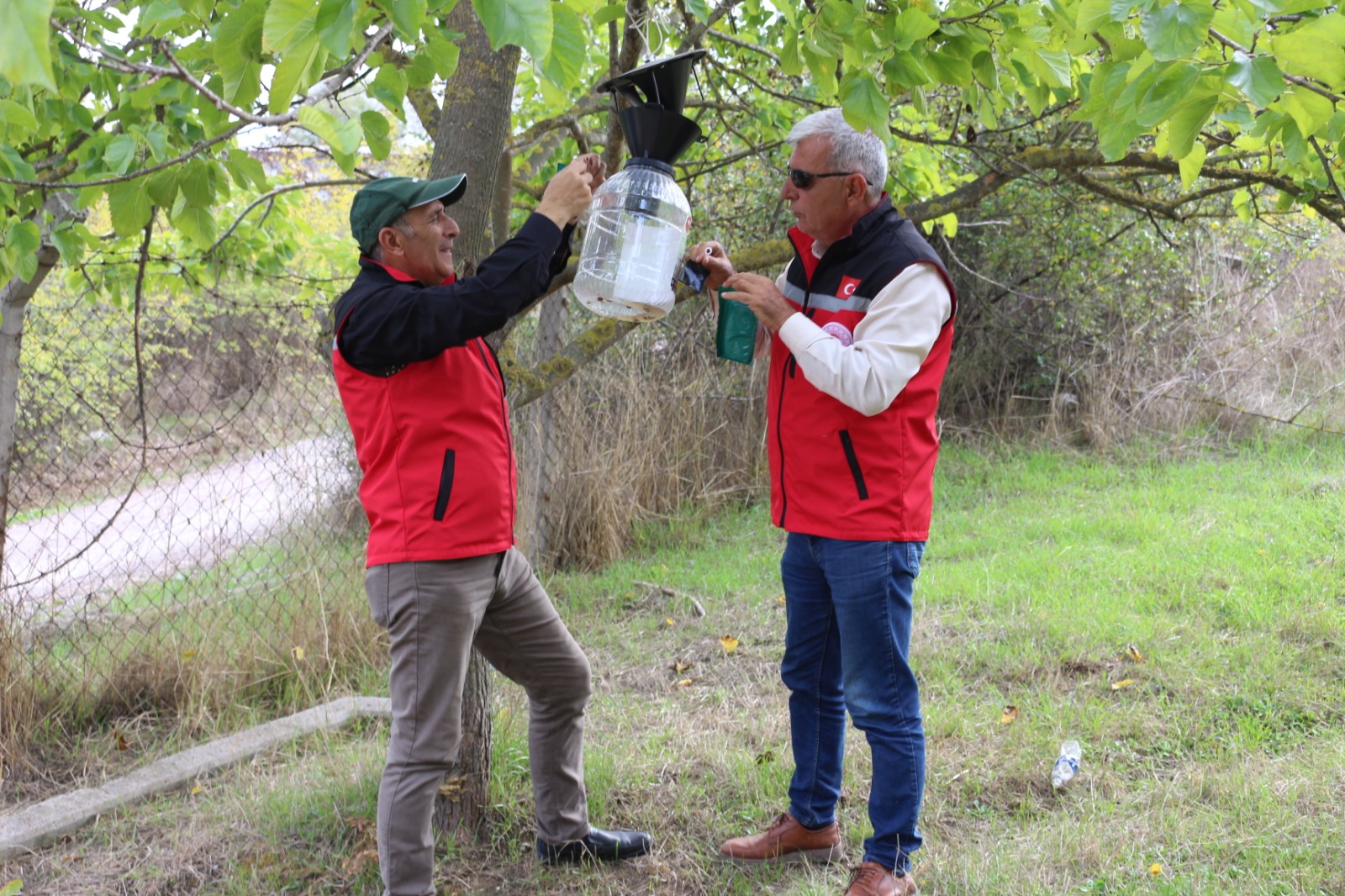 Yalova’da Kahverengi Kokarcayla Mücadele Çalışmaları Sürüyor