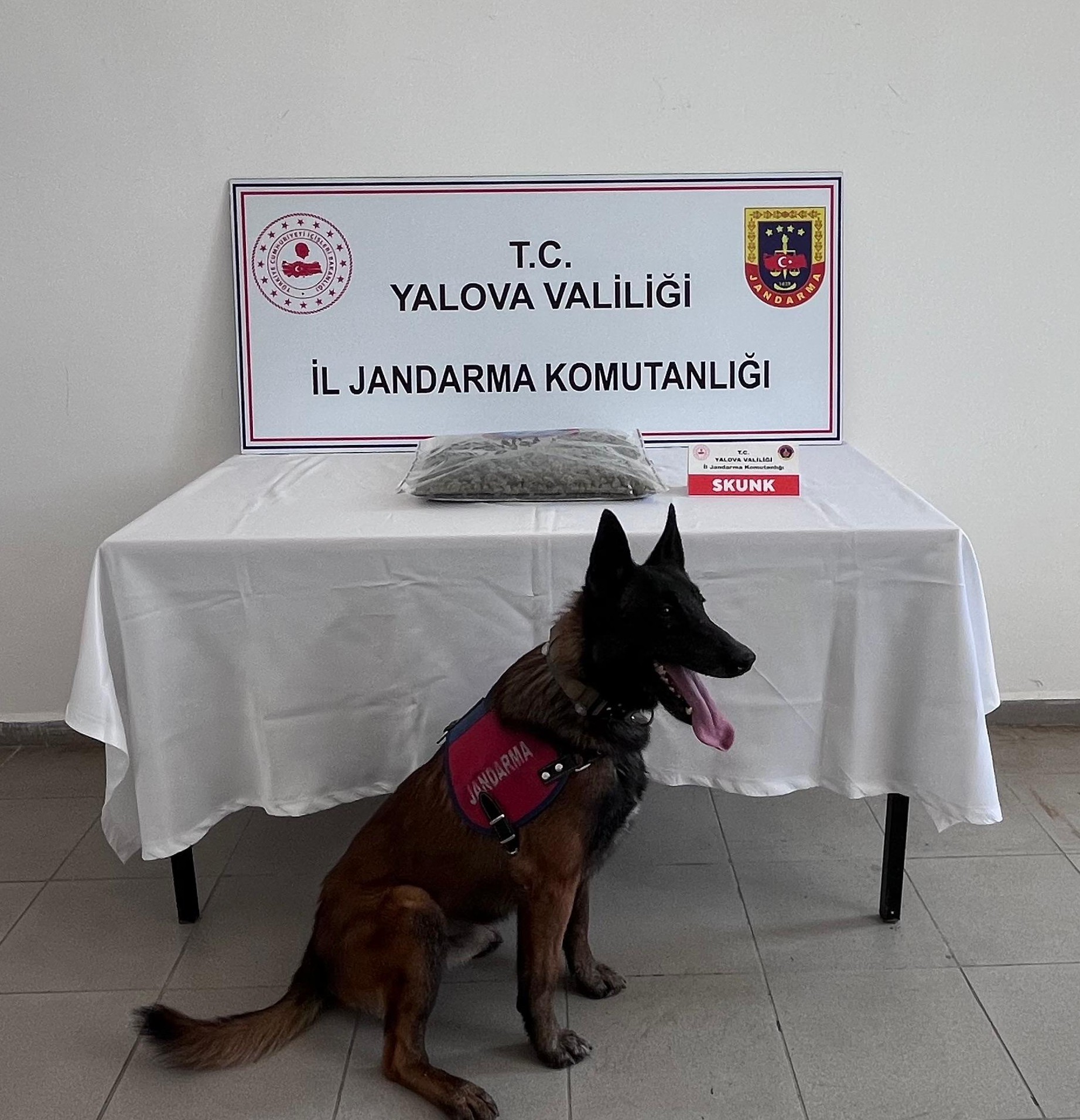 Yalova’da Uyuşturucu Operasyonu: 1,5 Kilo Skunk Ele Geçirildi