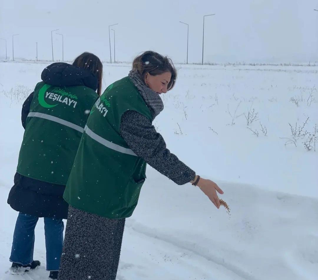 Yeşilay Kars Şubesi’nden Kanatlı Dostlara “Gönüllü” Desteği