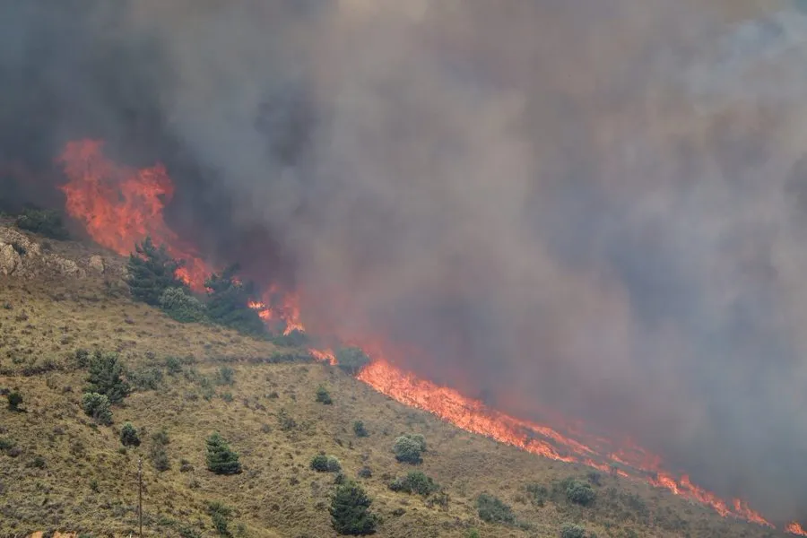 Yunanistan’da Orman Yangınları Nedeniyle Yerleşim Alanları Tahliye Edildi